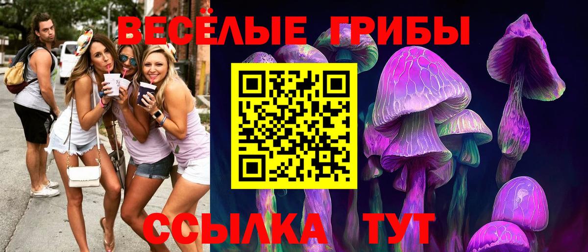 Псилоцибиновые грибы мицелий  наркотики  Юрга  Вход с VPN  Галлюциногенные грибы ЛСД 